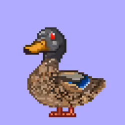 Mallard #3235