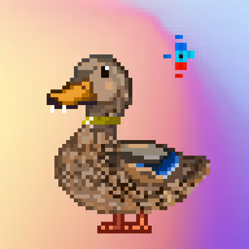 Just Mallards