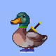 5617