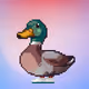 795