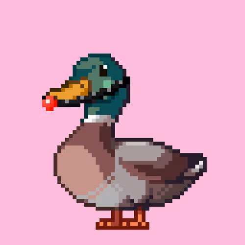 Just Mallards