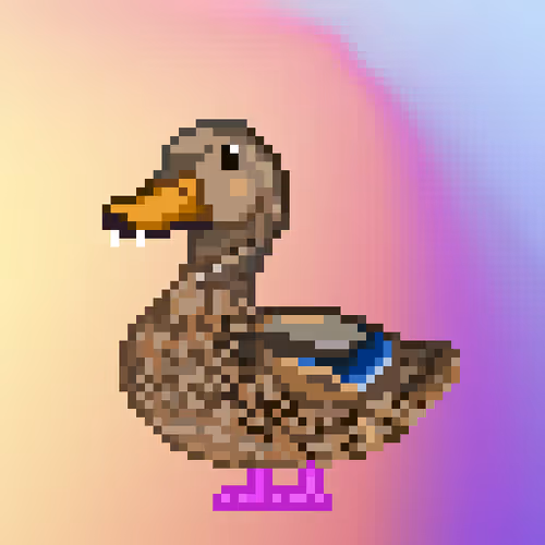 Just Mallards