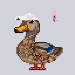 Mallard #9101