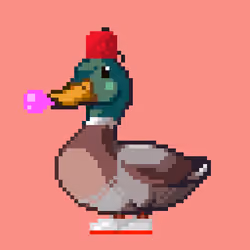 Mallard #6857
