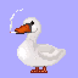 Mallard #15