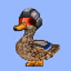 9151