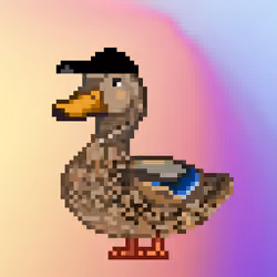 Mallard #1132