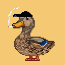 Mallard #1715