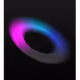 13281