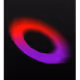 9779