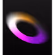 30619