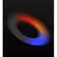 11768