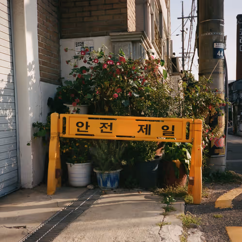 A Sunny Day In Seoul