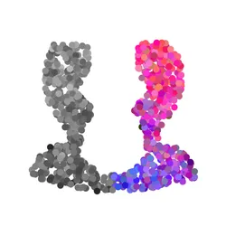 62