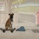 Dogg on a Skateboard