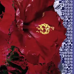200032