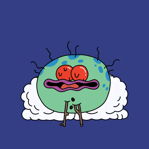 Mistletoadz