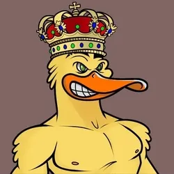 Unrevelead Hallucinated Ducks