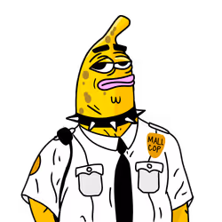 Basic Auditor Banny