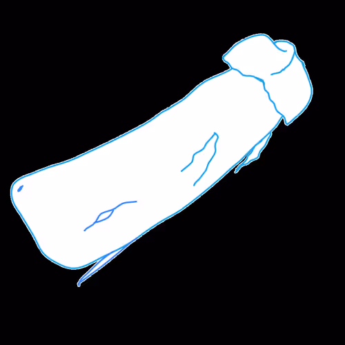 Item #0 Media