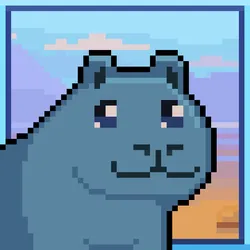 509