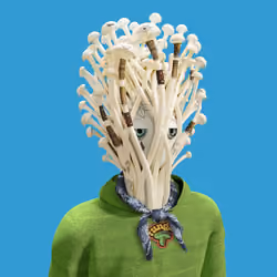 Funga #495