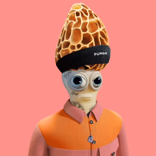 Fungaandfriends