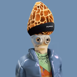 Funga #597