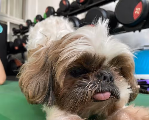 Unidentified contract - blM0sWLo6R