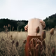 our ordinary life