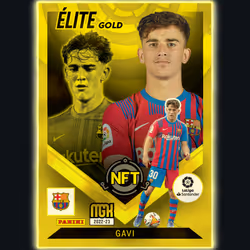 77927851714787250999604764899334316062513212110408794936127991713096054783028