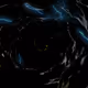 8200020007