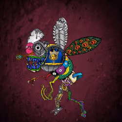 Mutant Fly #1203