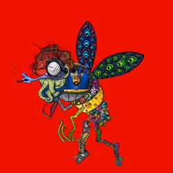 Mutant Fly #2134