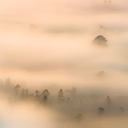 Nature In Harmony 1