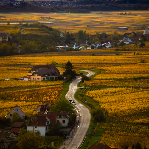 An Autumn In Alsace