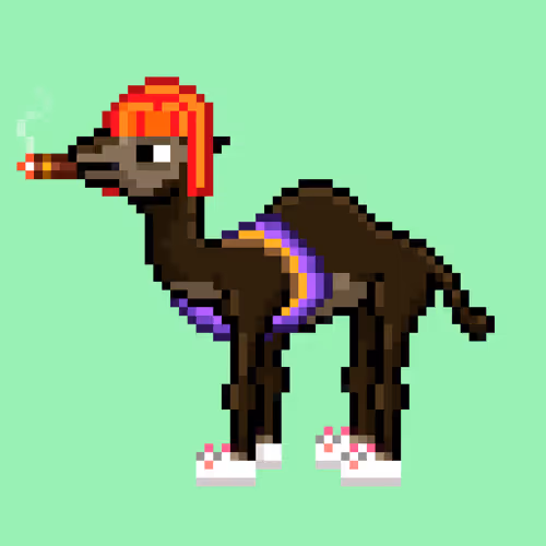 Cryptocamels By Nimblecore