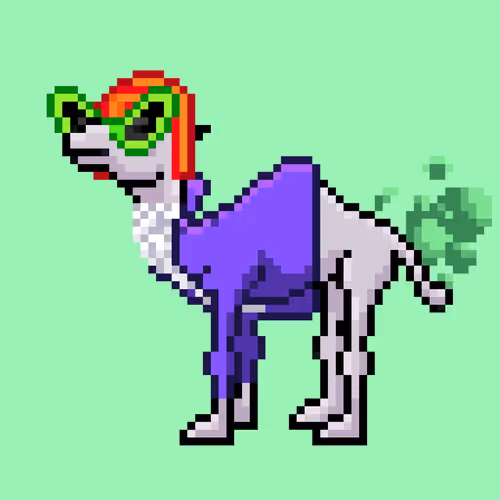 Cryptocamels By Nimblecore