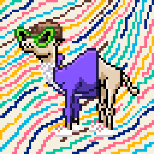 Cryptocamels By Nimblecore