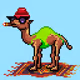 CryptoCamels #242