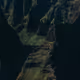 33000010025
