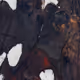33000010042