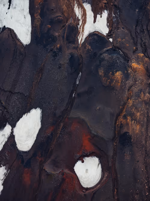 Item #33000010042 Media