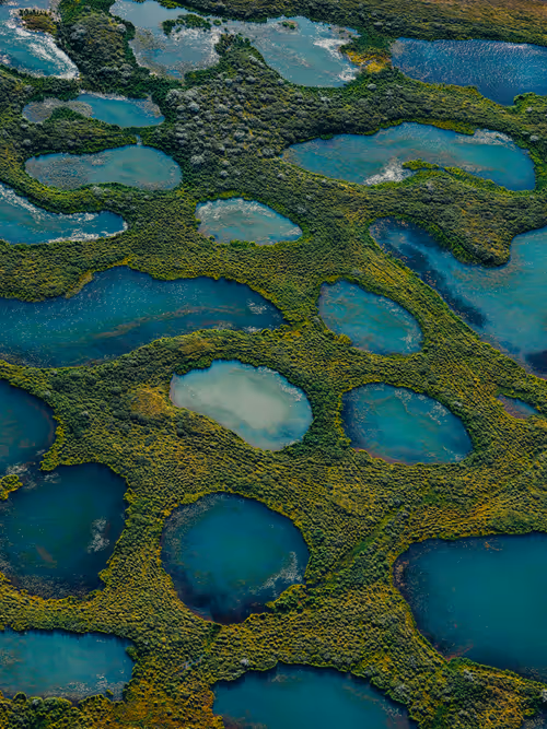 Item #33000010022 Media