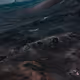 33000010039