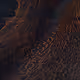 33000010029