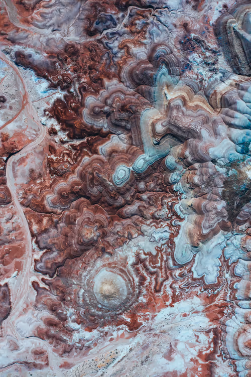 Item #33000010006 Media