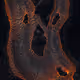 33000010031
