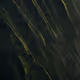 33000010023