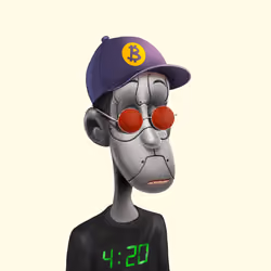 NFToker #1333